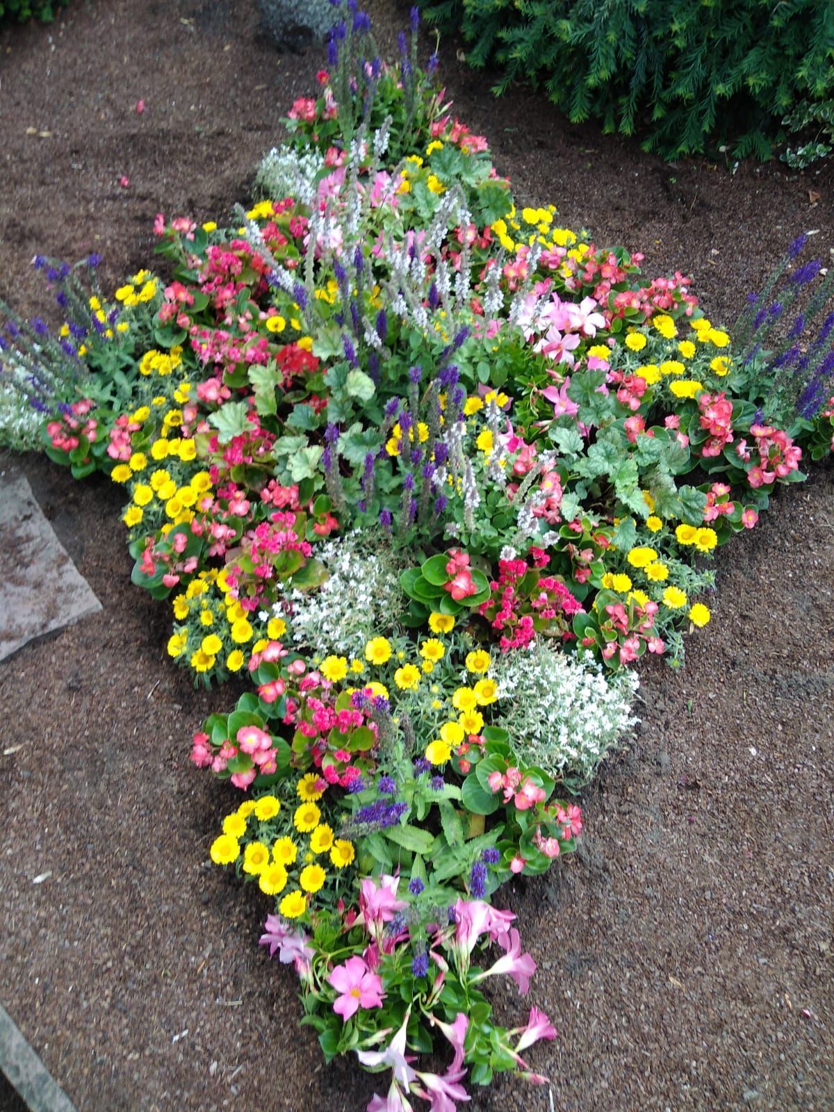 In diesem Garten gibt es viele verschiedene Blumenarten.