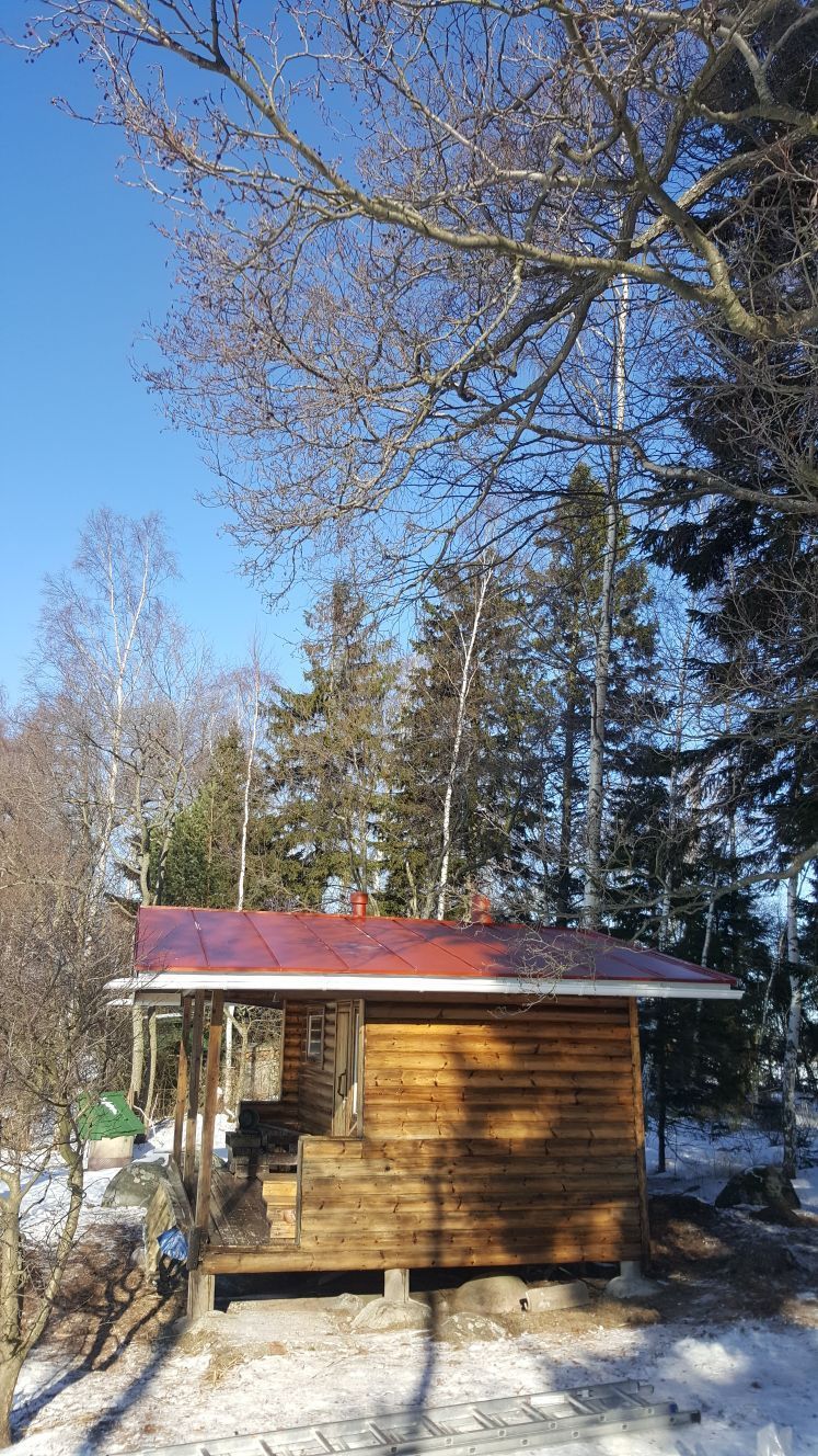 Punakattoinen puinen mökki lumisessa, metsäisessä ympäristössä. Sininen taivas ja paljaat puiden oksat yläpuolella.