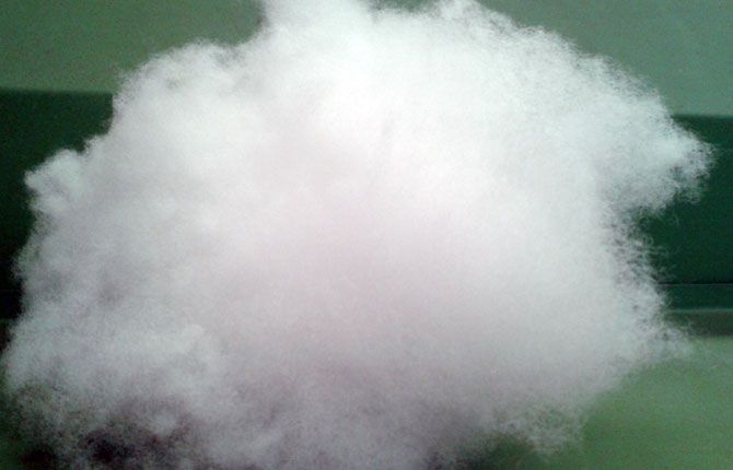 Mullido algodón blanco o masa de fibra sobre un fondo verde oscuro.