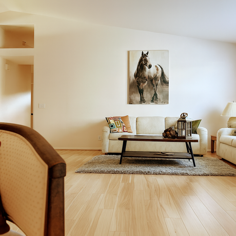 Western Horizon Home