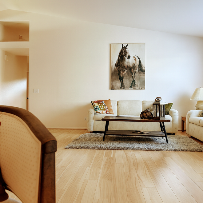 Western Horizon Home