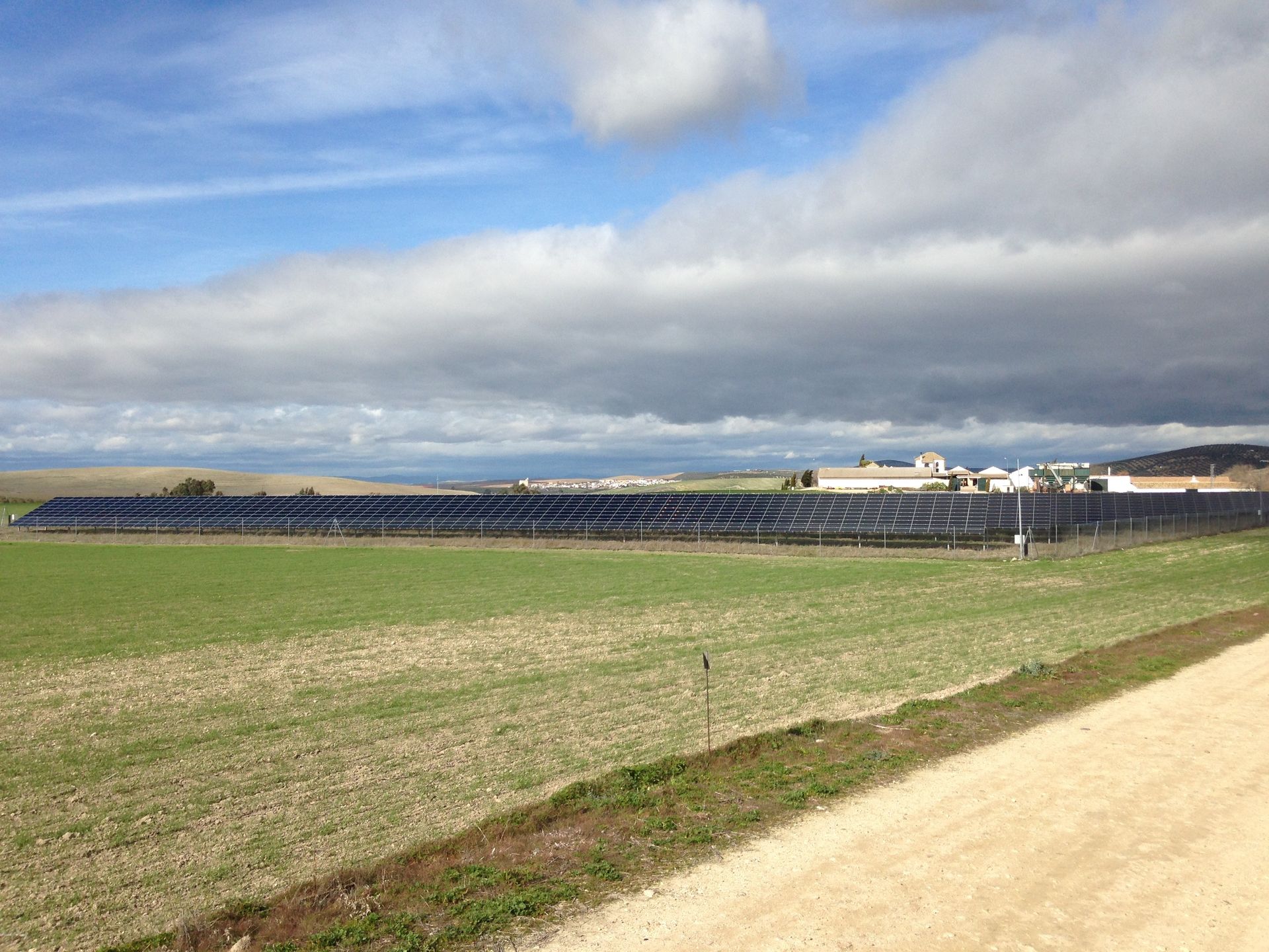 Un campo con muchos paneles solares.