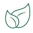 Un dibujo de dos hojas verdes sobre un fondo blanco.