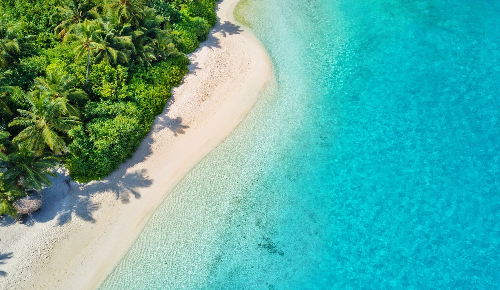 An aerial view of a tropical beach with palm trees and turquoise water.