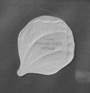 Papel blanco gofrado en forma de hoja con texto: