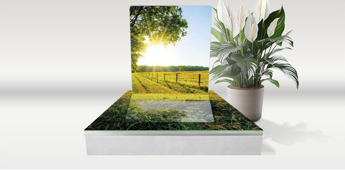 Article funéraire avec paysage ensoleillé et une plante verte en pot posé à côté sur fond clair