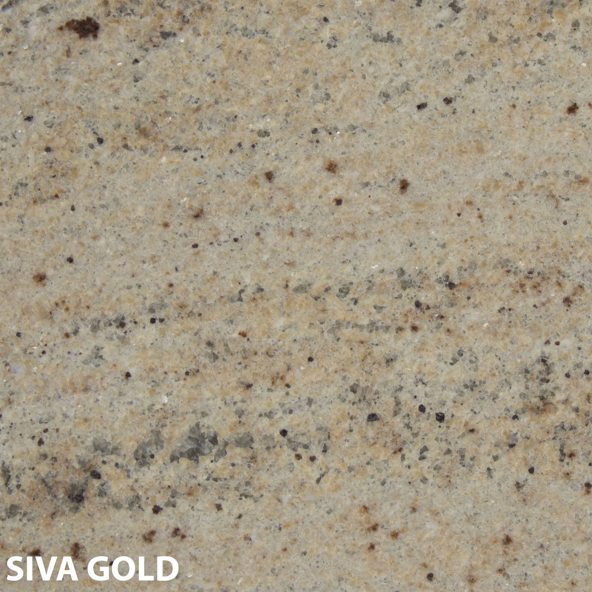 SIVA GOLD