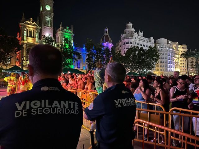 Vigilantes de seguridad