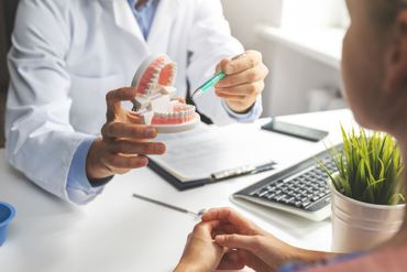 Zahnarzt benutzt Modellzähne, erklärt dem Patienten am Schreibtisch mit Laptop und Pflanze die Vorgehensweise.