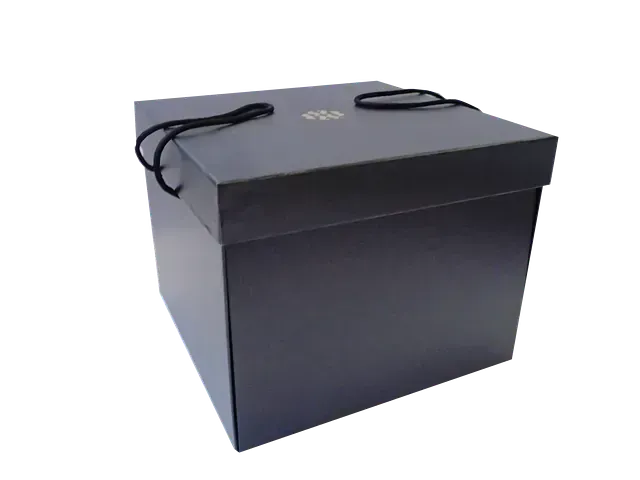 Una caja negra con dos asas sobre un fondo blanco