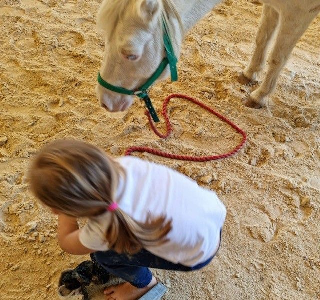 Petite fille avec un poney blanc