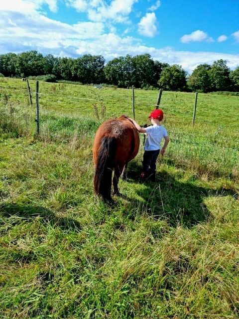 Enfant avec un poney dans un champs