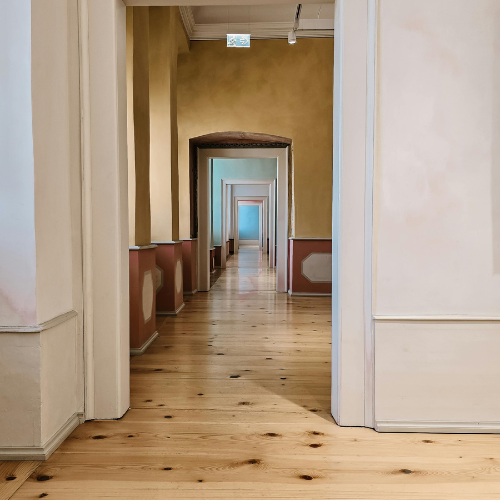 Covering sur une voiture blanche