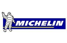 [company name] - logo michelin