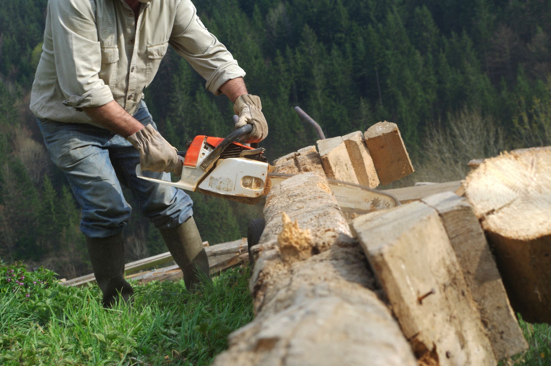 Un homme utilise une tronçonneuse pour couper des bûches à l'extérieur, portant des gants, des bottes et une chemise claire.