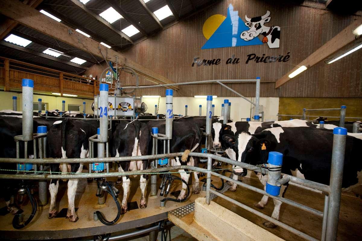 Ferme du Prieuré à Saint-Romain-le-Puy