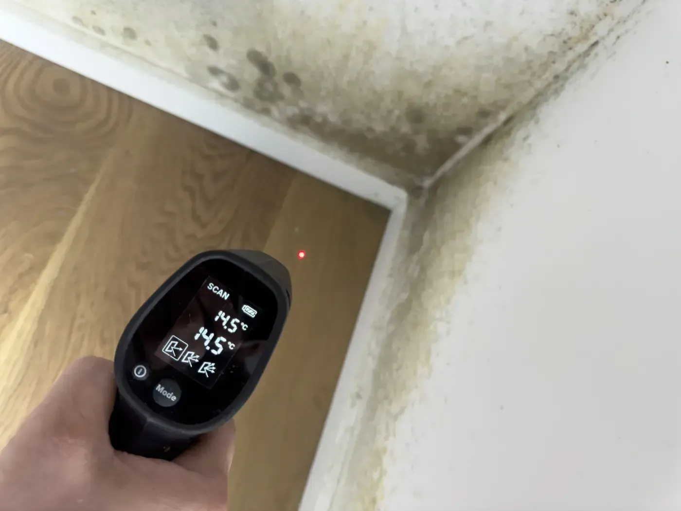 Ein handliches Infrarot-Thermometer wurde auf eine schimmelige Deckenecke über einer Holztür gerichtet.