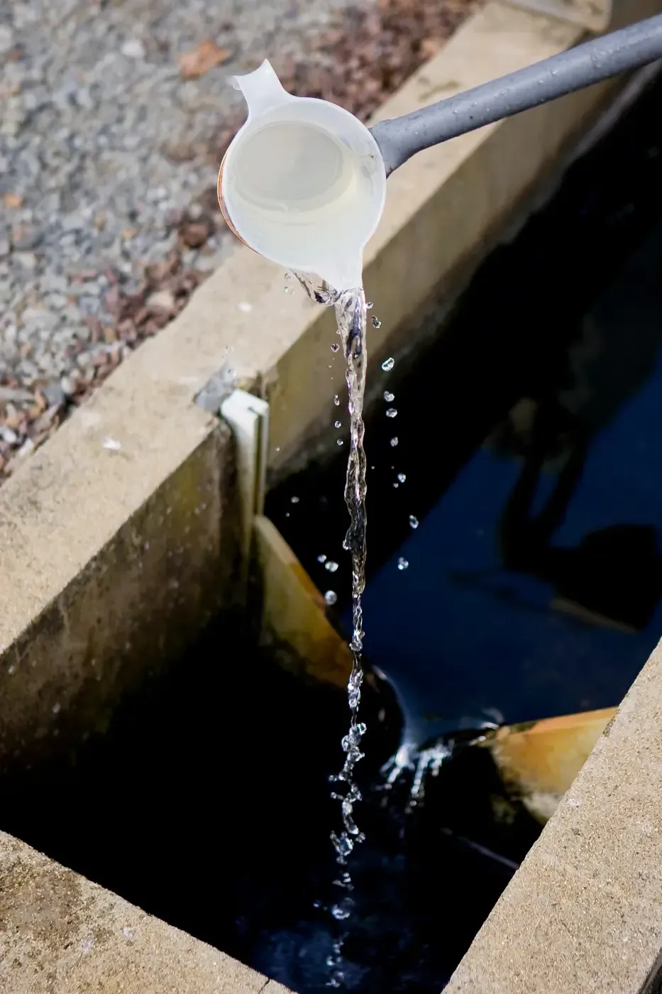 Wasser ergießt sich aus einem kleinen Becher in einen dunklen Abflusskanal neben einer Betonkante.