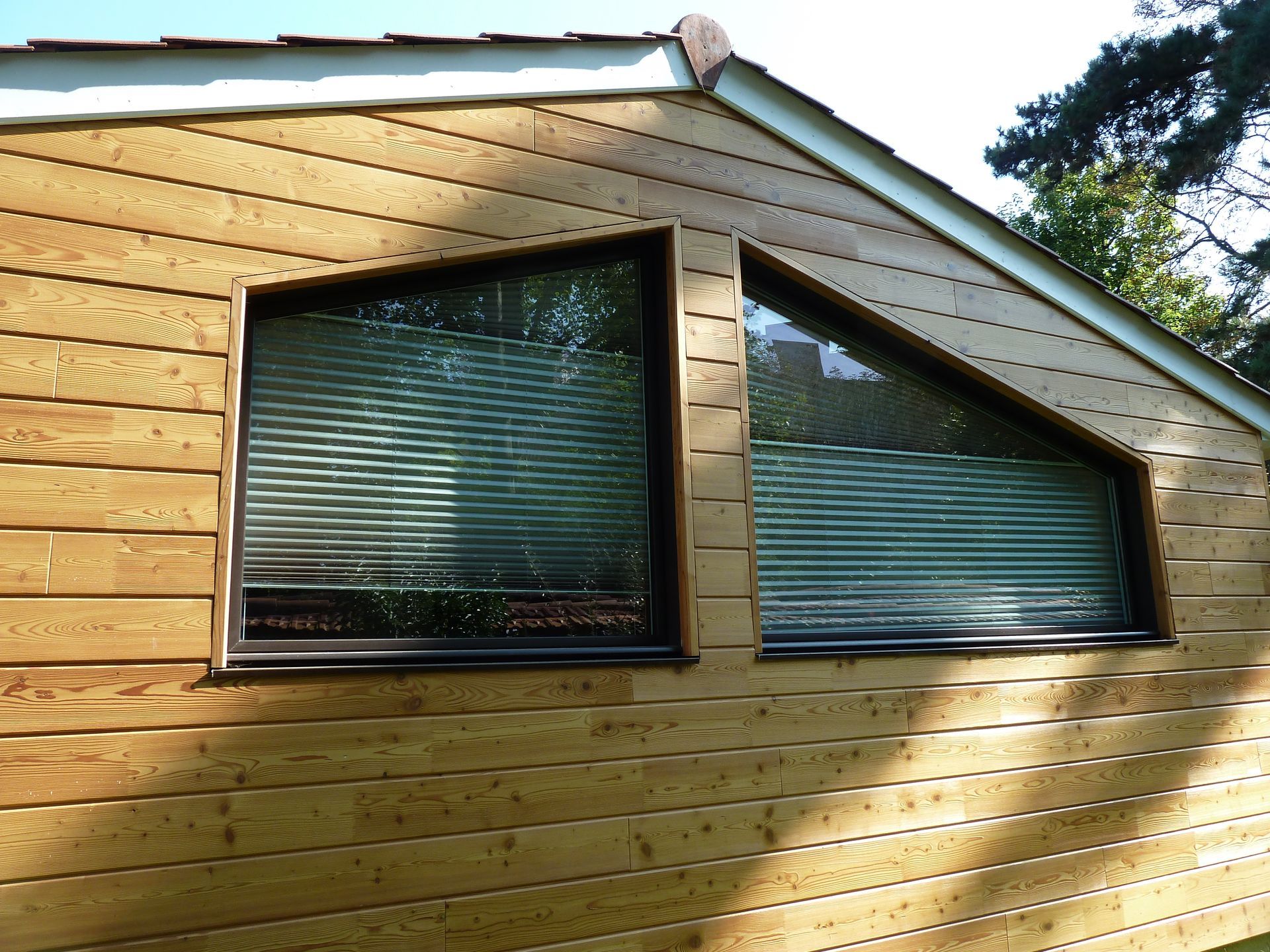 Fenêtre à cadre blanc donnant sur des arbres verdoyants par une journée ensoleillée.