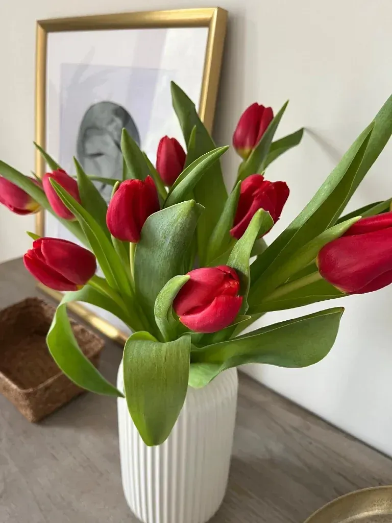 Tulipanes rojos en un jarrón blanco, junto a una obra de arte enmarcada sobre una superficie de madera.