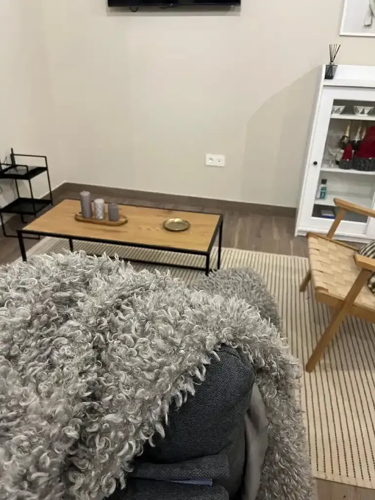 Sala de estar con sofá gris, mesa de centro de madera, alfombra y mueble blanco.