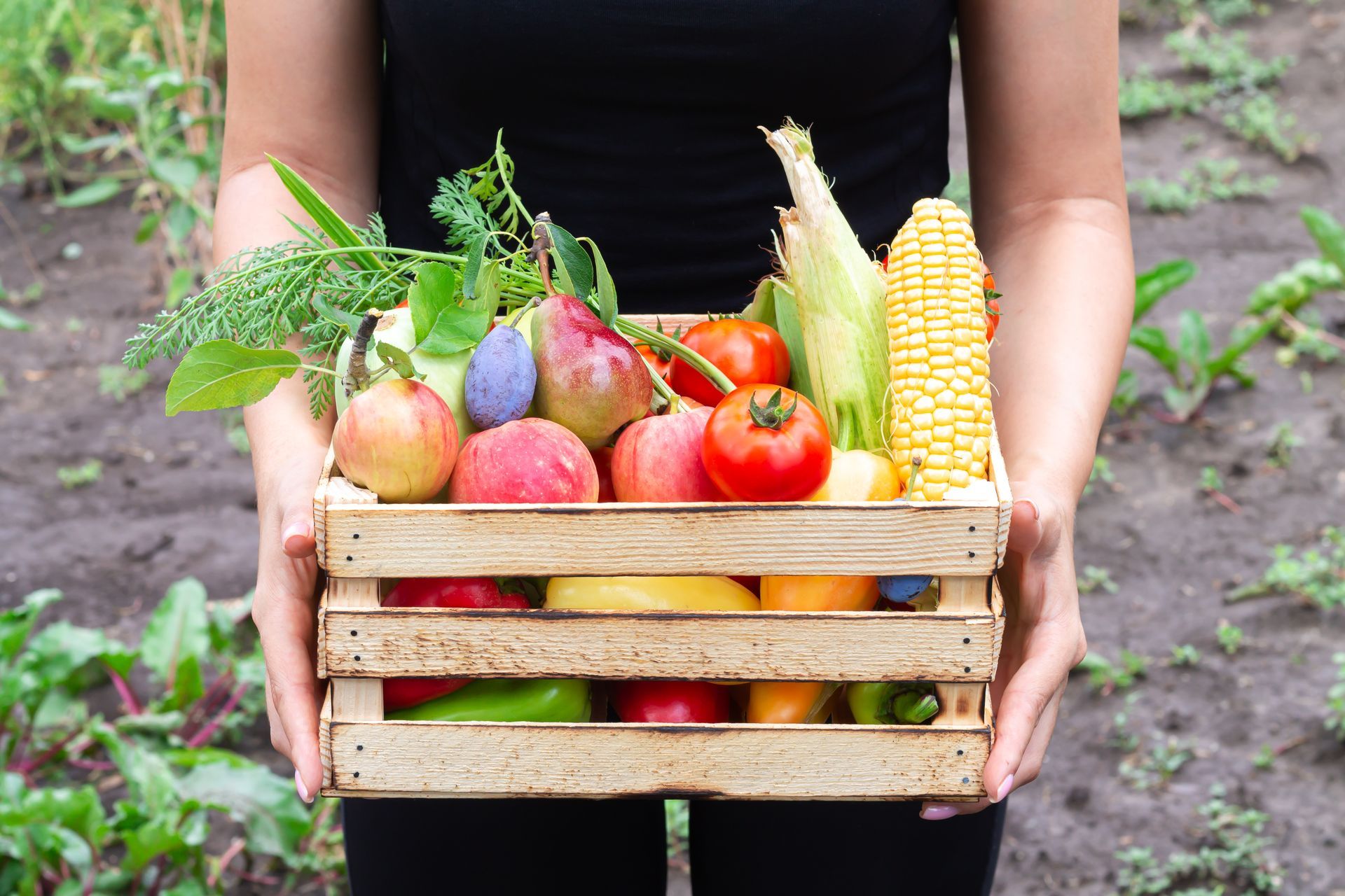 Une caisse en bois de légumes