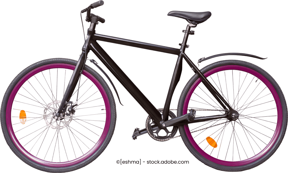 A.S.S. bikes and parts GmbH