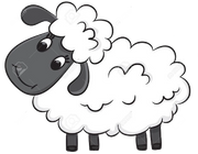 Schaf - Fischzucht Violenbach GmbH - Kaiseraugst