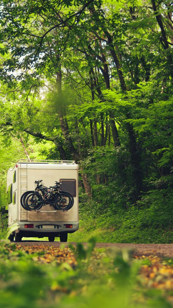 Camping-car stationné sur un chemin de terre, entouré d'arbres verts luxuriants, avec des vélos montés à l'arrière.