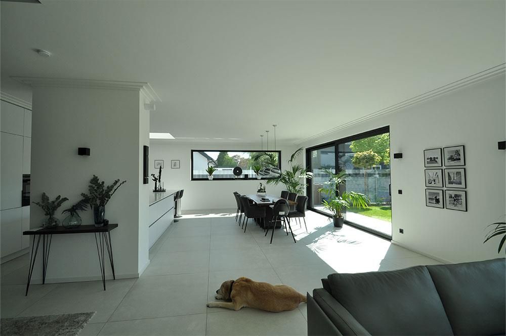 Ein Hund liegt auf einer Couch in einem Wohnzimmer