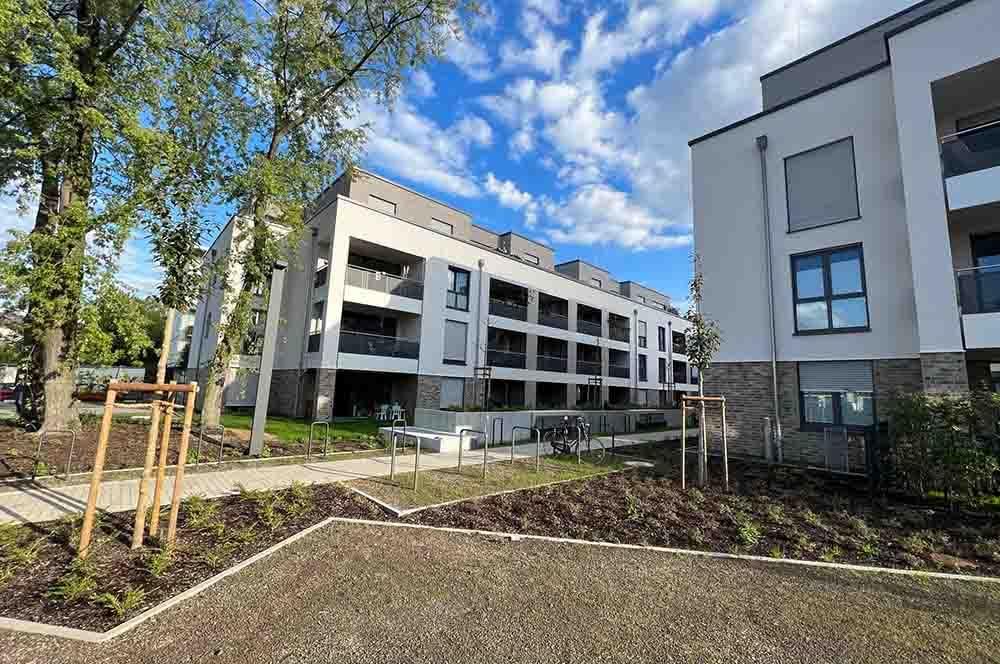 Ein großes Gebäude mit vielen Fenstern ist von Bäumen umgeben.