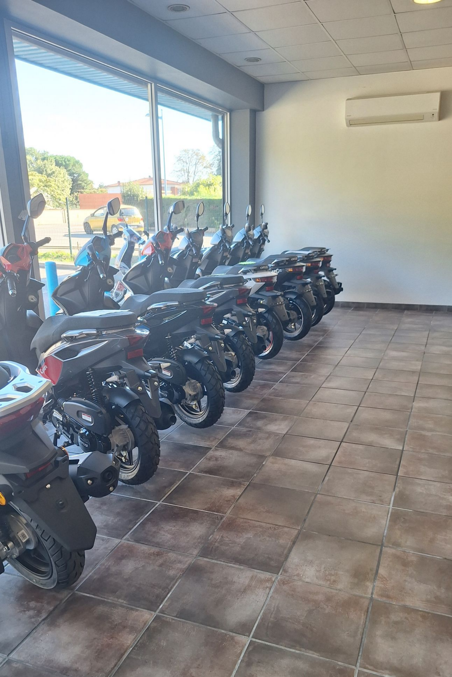 Magasin avec une série de scooters vue de derrière