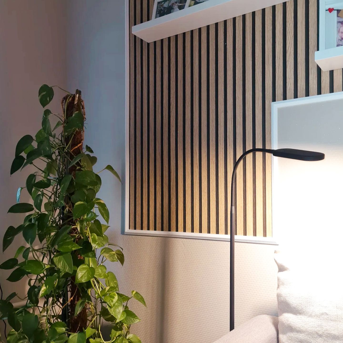 Ein Wohnzimmer mit einer Pflanze und einer Lampe