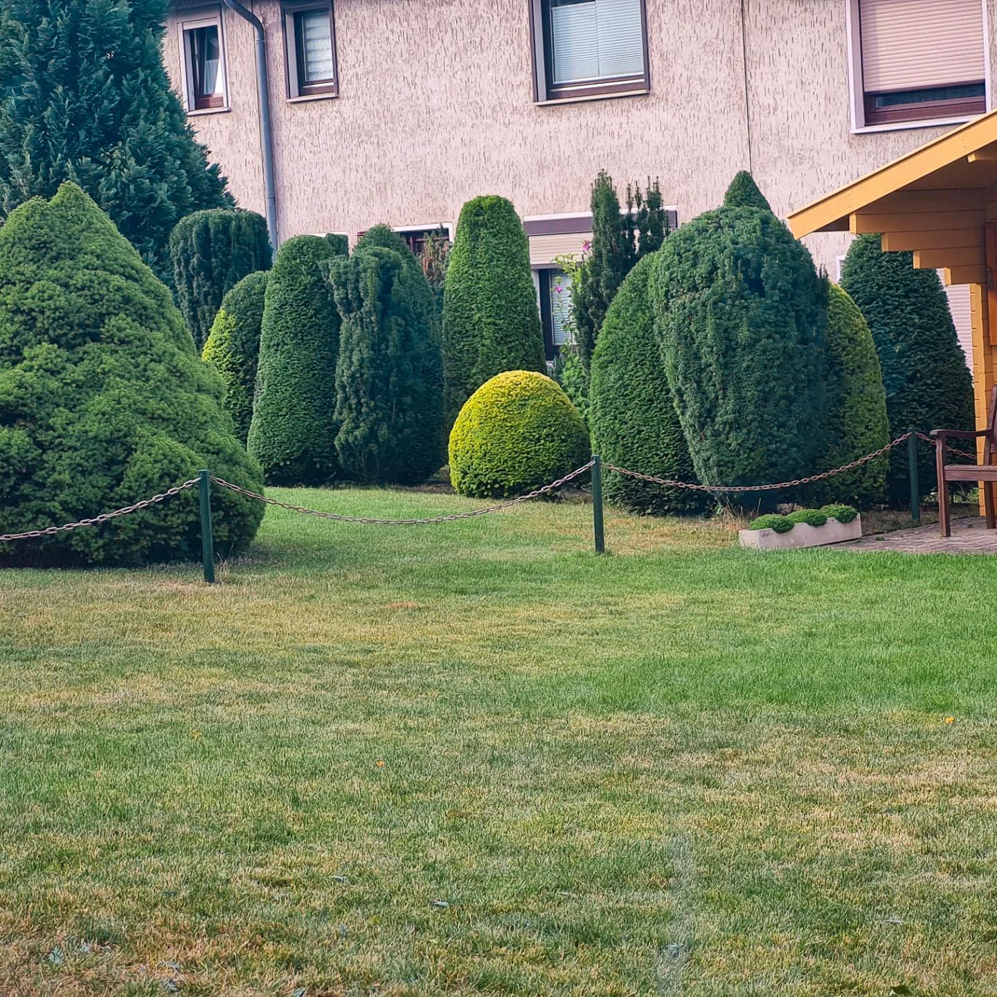 Ein üppig grüner Garten mit Bäumen und Büschen vor einem Haus.