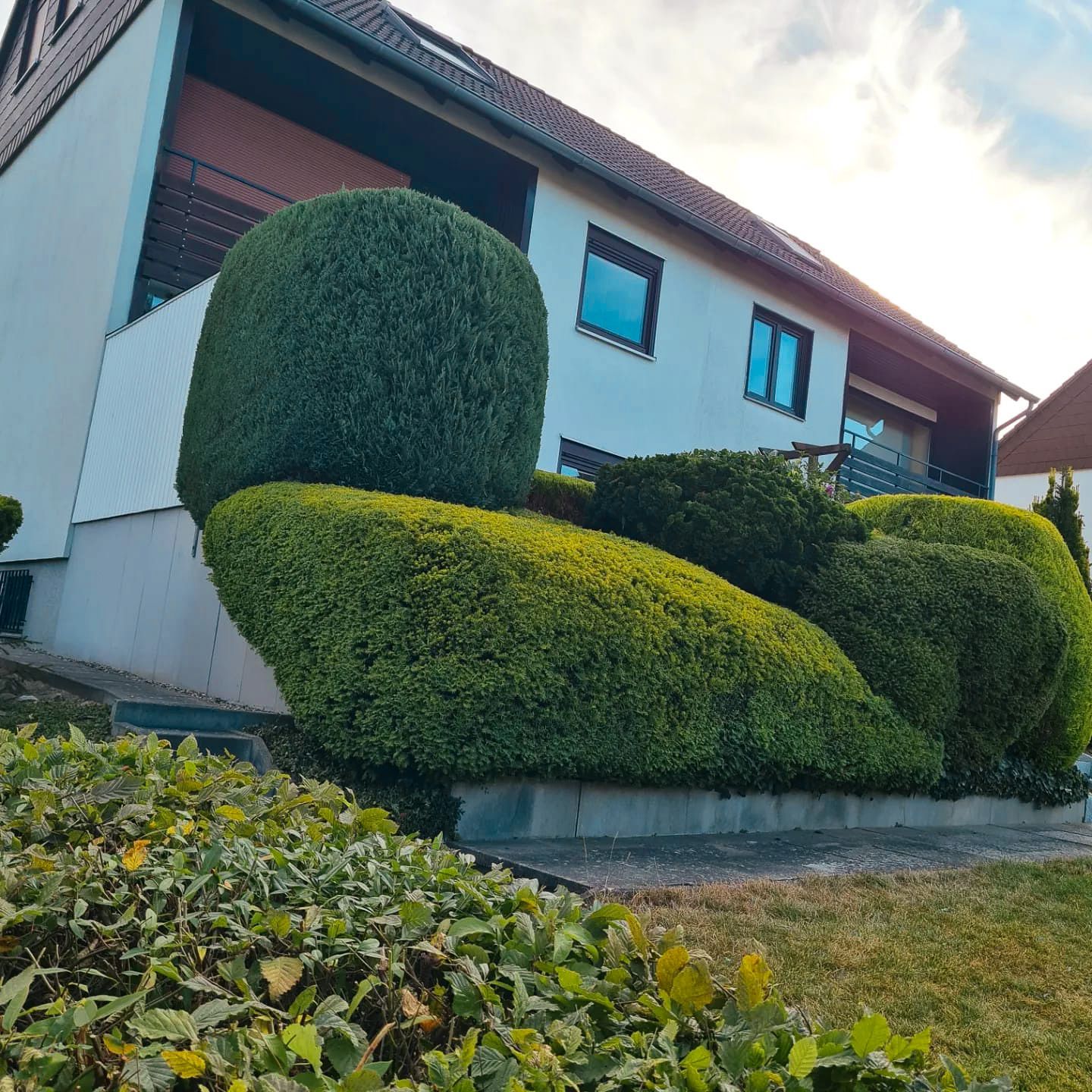 Ein Haus mit vielen Büschen davor