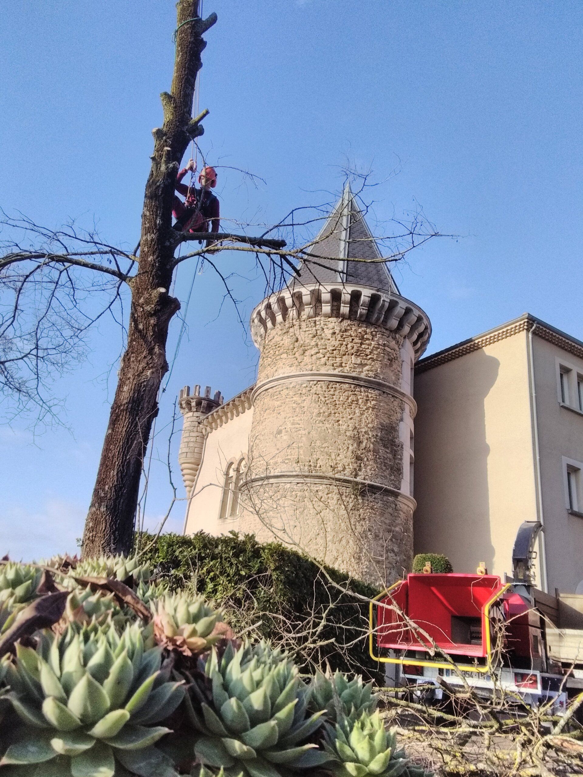 Travaux d'abattage par démontage