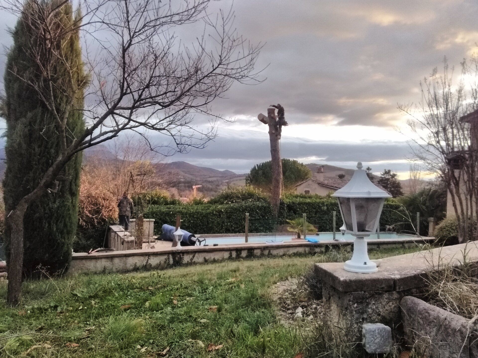 Travaux d'abattage : démontage