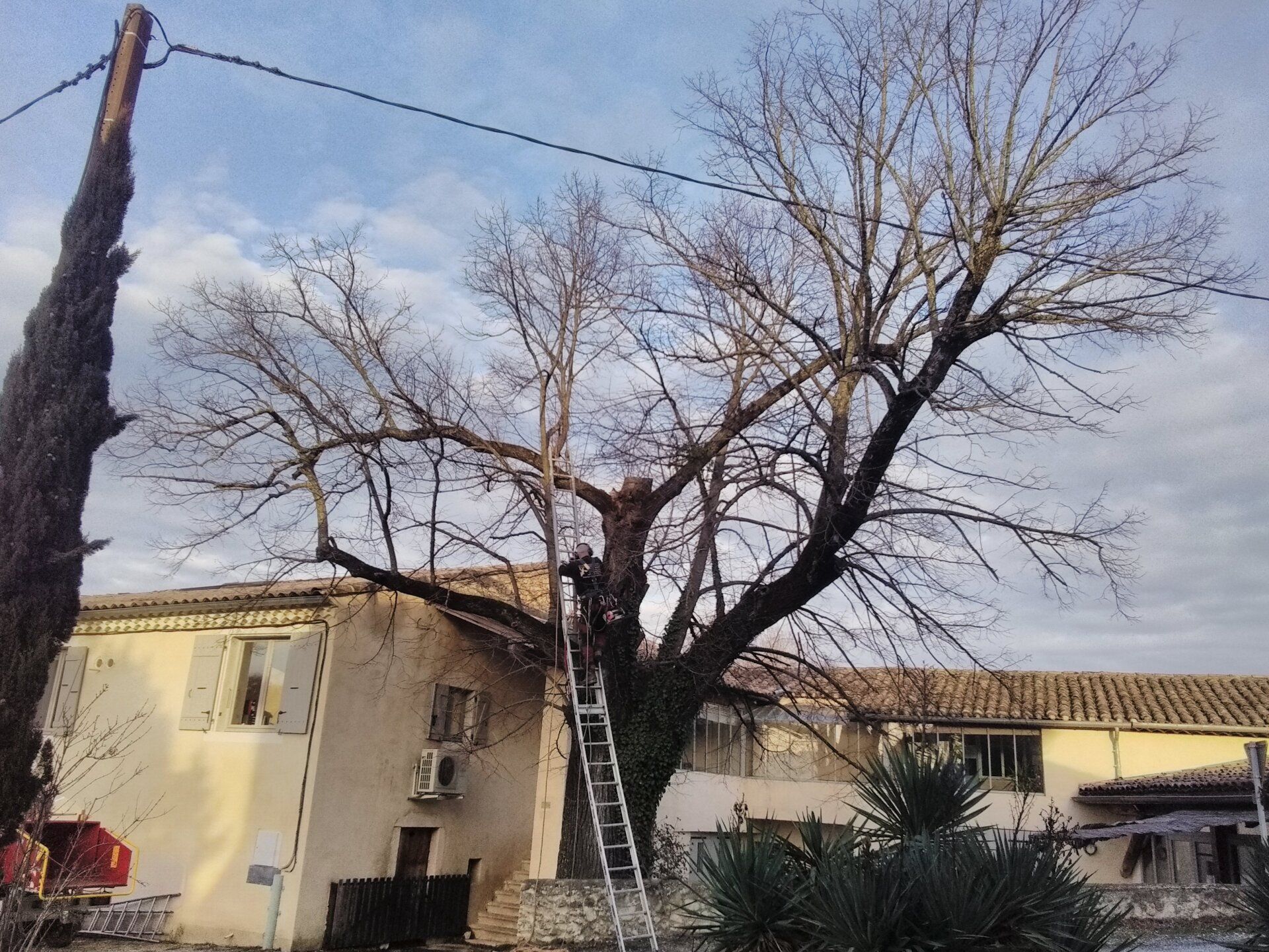 Élagage prêt de câble (3a)