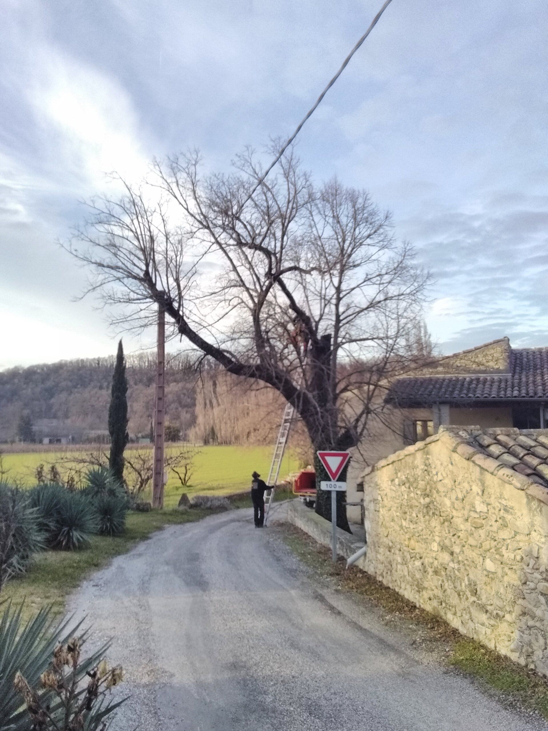 Élagage prêt de câble (3b)