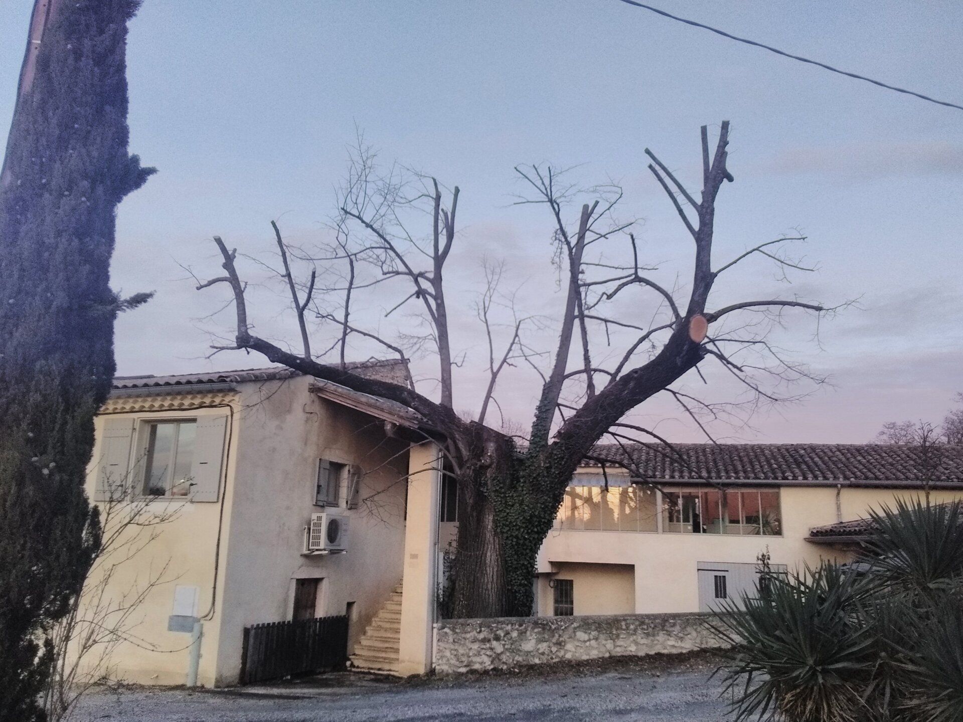 Élagage prêt de câble (3c)