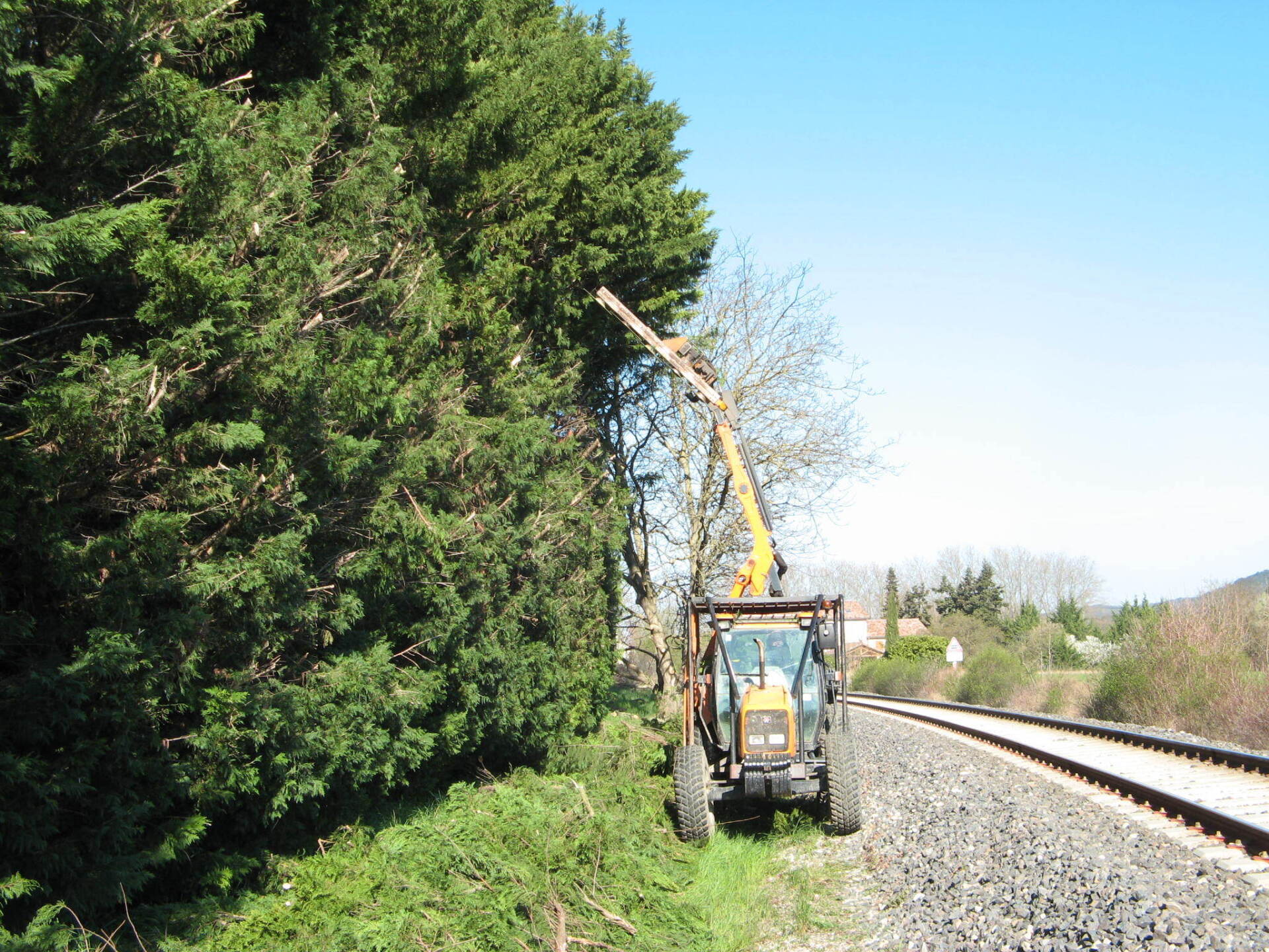 Taille de haie au lamier : jardins