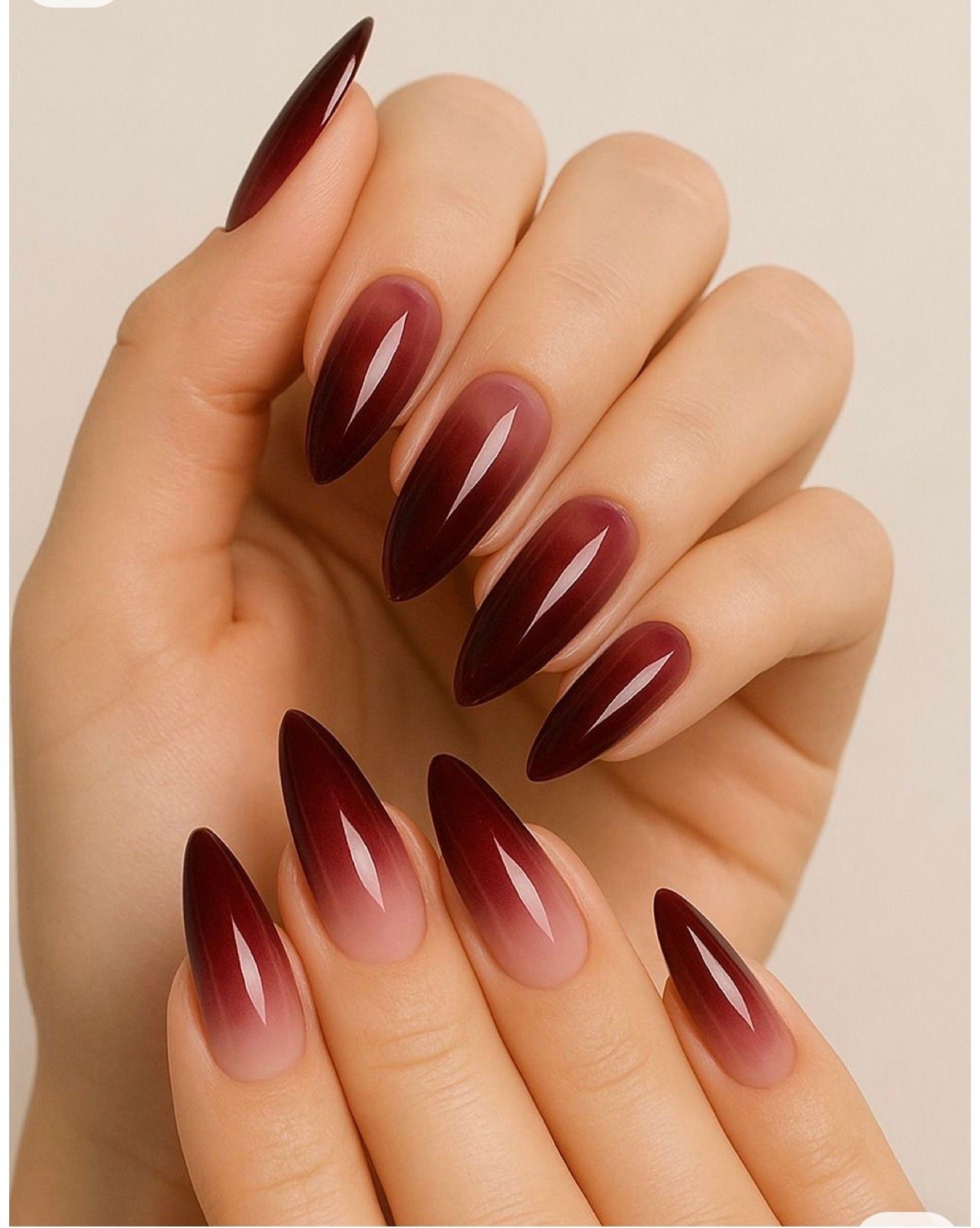 Mains aux ongles longs en forme d'amande, avec un dégradé bordeaux.