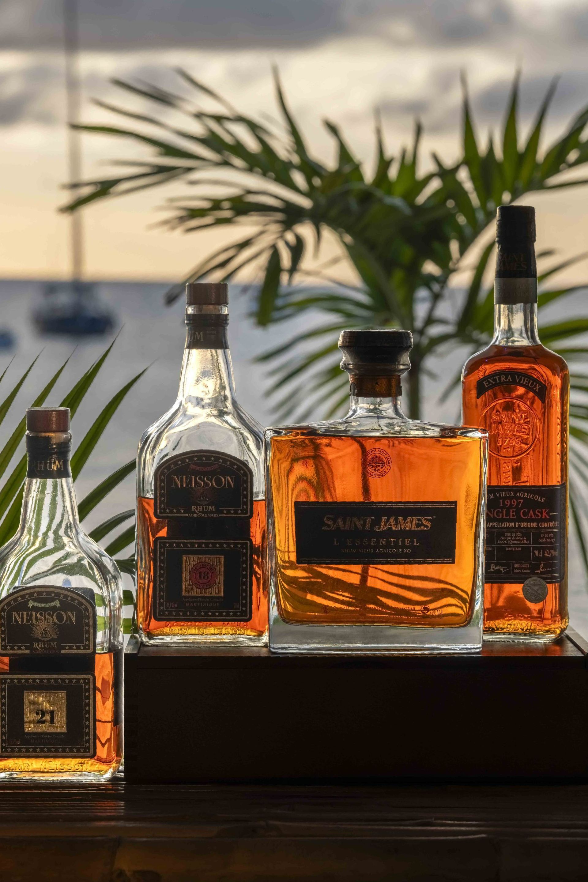 Série de bouteilles de rhum et vue sur un palmier
