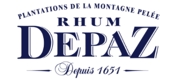 Logo Depaz