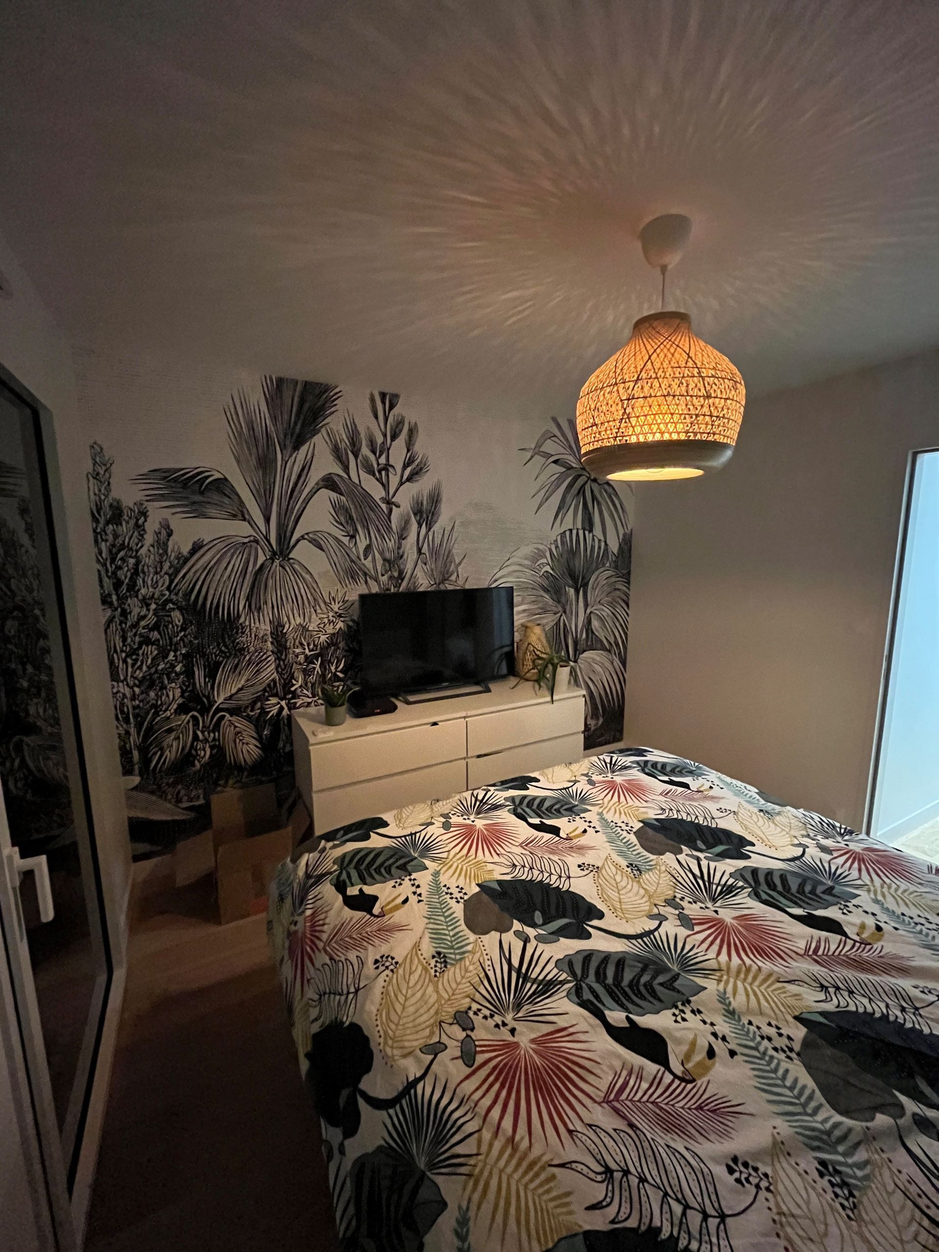 Chambre cosy avec linge de lit à motifs de feuilles tropicales, télévision sur la commode, plantes en pot et suspension lumineuse en osier.