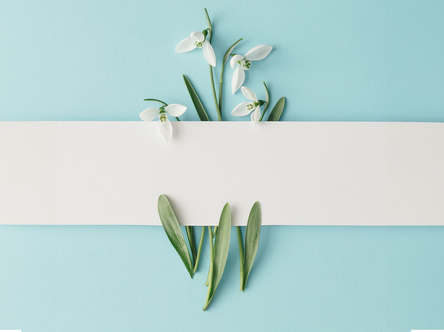 Locución Publicitaria