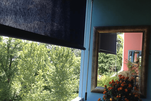 Vue par une fenêtre sur des arbres verdoyants, à côté d'un miroir sur un mur bleu reflétant un bâtiment et des fleurs à l'extérieur.