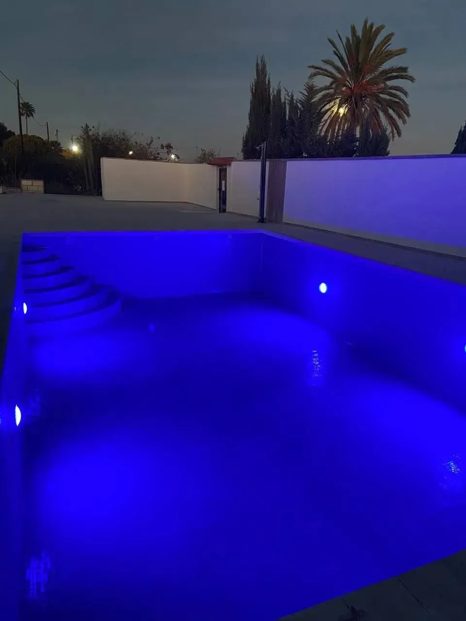 Una piscina vacía iluminada por luces subacuáticas de color azul brillante al anochecer, con una palmera al fondo.