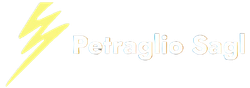 Nicola Petraglio Sagl logo