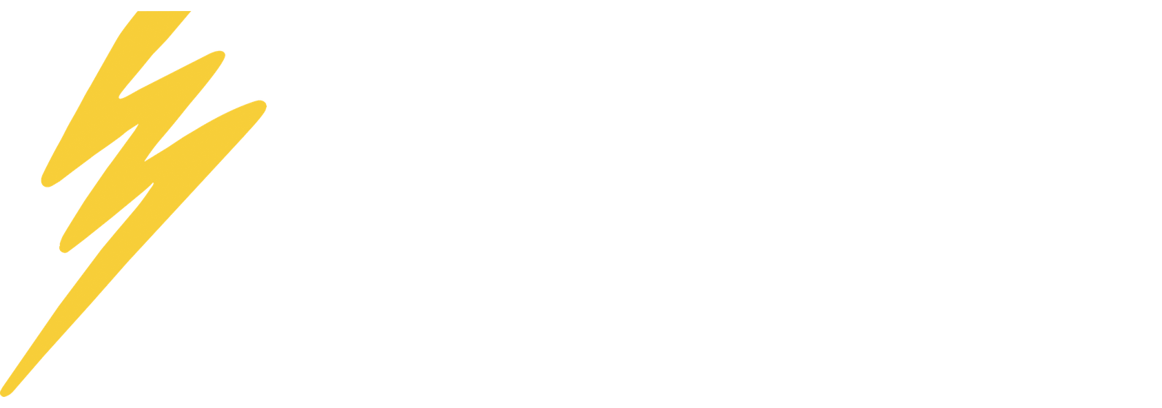 Nicola Petraglio Sagl logo